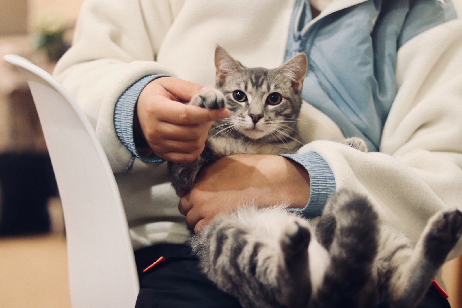 Servicios Veterinarios en Mungia​
